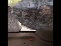 بالفيديو: تحطم زجاج سيارة بعد انفجار علبة بخاخ داخلها بسبب الحرارة