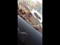 بالفيديو الشرطة تقبض على أصحاب “الاعتداء الوحشي” الذي كان بين أشقاء
