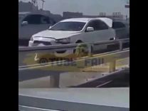 فيديو: سائق تعطلت سيارته على طريق سريع فقام بهذا العمل الذي لا يصدق وكلفه كثيراً
