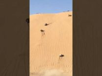 بالفيديو … حادث اصطدام مروع في أعلى طعس