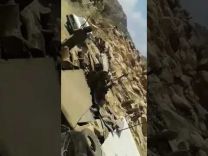 بالفيديو: مواطن يطلق النار على جمل قبل نحره