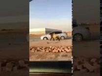 بالفيديو ..خروف يهرب من صاحبه على الطريق السريع والمارة يتسابقون للإمساك به