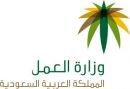 الاستقدام إلكترونيا#العمل: إطلاق خدمات
