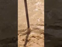 بالفيديو : السيول تجرف آليات الدفاع المدني