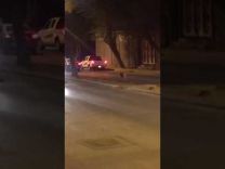 بالفيديو … فهد يتجول في شوارع بريدة.. ومغردون يطالبون بمنع اقتناء الحيوانات المفترسة داخل المدن