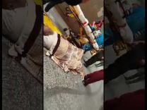 بالفيديو.. مريض ملقى في الشارع يشعل مواقع التواصل