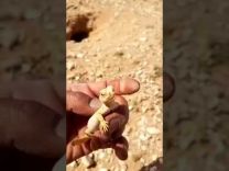 بالفيديو..مواطن يهدد”ضب”معى خطاب عاجل من المحكمة “اذهب واحضر أباك”
