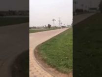 بالفيديو: مواطن يسخر من لافتة ممشى
