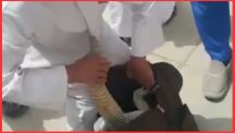 بالفيديو: تلميذ يصطحب ضب في حقيبة المدرسة