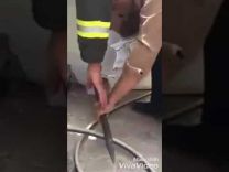 بالفيديو: الدفاع المدني بمساعدة أمن وزارة المالية ينقذ قطة علق رأسها في خزان مياه