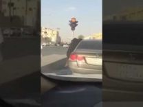 مضاربة عنيفة بين ( متسولتين ) بالقرب من أحد الإشارات الضوئية