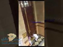 شاهد لحظة فتح أبواب الحرم النبوي لاستقبال المصلين لصلاة الفجر والعيد بعد ان كان مقفل للتنظيف