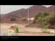 بالفيديو … السيول تجرف جملاً سائبًا