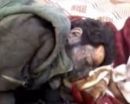 يستكمل صلاته وهو ينزف قبل استشهاده بلحظات #بالفيديو..متظاهر سوري مصاب