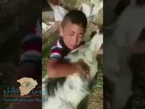 طفل يحتضن “الأضحية” ويصرخ: اتركوها لا تذبحوها!