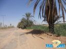 وفرع وزارة النقل بحائل لا تحرك ساكن #طريق المندسة _ الخطة متعثر