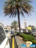 يتسبب بازالة الحاجز الحديدي لطريق الملك عبد العزيز بحائل#اهمال و سوء تخطيط