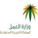 المبتعثين خلال 90 يوما#العمل تلتزم بتوظيف