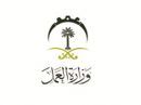 «جاهز» لـ«توظيف الطلبة»#بعد «حافز»… إطلاق
