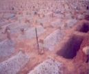 1828 حالة وفاة للعام 1433هـ #إحصائية الوفيات بمدينة حائل