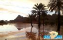 البكر سالت على أثرها الشعاب#بالصور: أمطار غزيرة على قرية