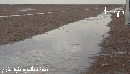 أمطار على بقعاء الشرقية#بالصور : عصر هذا اليوم