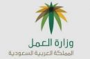 للتأشيرات الصحية وتوظيف 300 مواطن في 3 أشهر#«العمل» تضع ضوابط جديدة