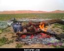 لـ”;المربعانية”; إلا (12) يوما#لم يتبقَ