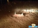 العثور على قبر طفل مجهول بجانب الطريق بعقده  غرب حائل ( صور )