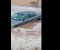 أثناء غرقها في سيول (فيديو) #بكاء شاب على سيارته