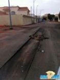 بحائل .. والشوارع «مرقَّعة» #الرقابة نائمة