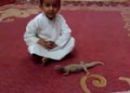 يجبر “; ضب “; على عضه وابكاءه# مهايط  طفل سعودي