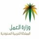 إلكترونيا لمنشآت النطاق الأخضر#إصدار تأشيرات الاستقدام