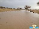 على شرق منطقة حائل  #هطول أمطار غزيره