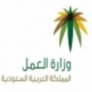 مراقبات على محال بيع المستلزمات النسائية#«العمل» تتجه إلى توظيف