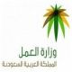 اتحاد عمال للسعوديين لتحسين أوضاعهم#“العمل” تضع تشريعات لإنشاء