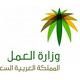 العمالة من الأفراد للمؤسسات #«العمل»: نقل خدمات