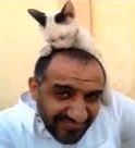 وفاء”; قطة “;عثر عليها في أحد البناشر#بالفيديو: سعودي يكشف عن قصة