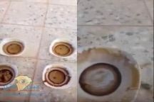 النباتية والحيوانية.. وتؤكد: لا يُعتدّ به -فيديو