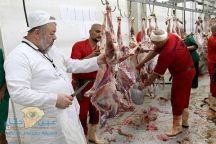 نحر 518 ألف رأس بمشروع “الهدي والأضاحي”