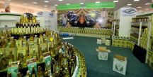 تحت شعار(زيتنا من جوفنا)مهرجان الزيتون العاشر بالجوف ينطلق الأربعاء المقبل
