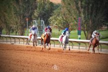 ( منيع الخالدية ) يحقق المركز الأول في بطولة عز الخيل نوفا 22 لمالكه أحمد المشنا..