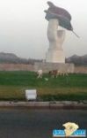بحي صديان الشرقي بحائل #الكلاب الضاله تتكاثر