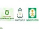 واستيعاب ذوي الاحتياجات والمطلقات والأرامل#حصر  مستحقي القرض والأرض