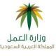 المرحلة الثانية من قرار تأنيث المحال النسائيه#”;العمل”; توضّح اشتراطات