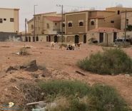 اهالي حي درة المملكة بمدينة حائل يتذمرون من كثرة الكلاب الضاله
