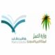 الأهلية بفتح حضانات#السماح للمدارس