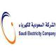الأملاك عن مرور التمديدات الهوائية بأراضيهم #إلزام الكهرباء بتعويض أصحاب