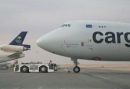 بمطار الرياض ويتسبب بإلغاء الرحلة#قط يهاجم طياراً لدى إقلاعه