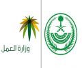 توعوية تحذر من التستر بعد انتهاء المهلة “;#الداخلية والعمل”; تطلقان رسائل